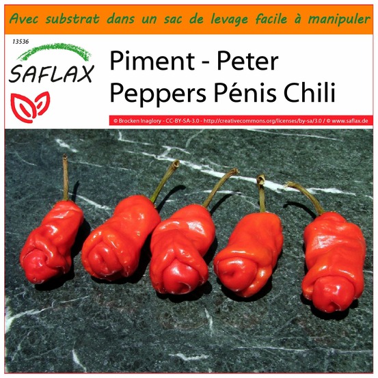 Garden in the bag - piment - peter peppers pénis chili - 10 graines - capsicum annuum