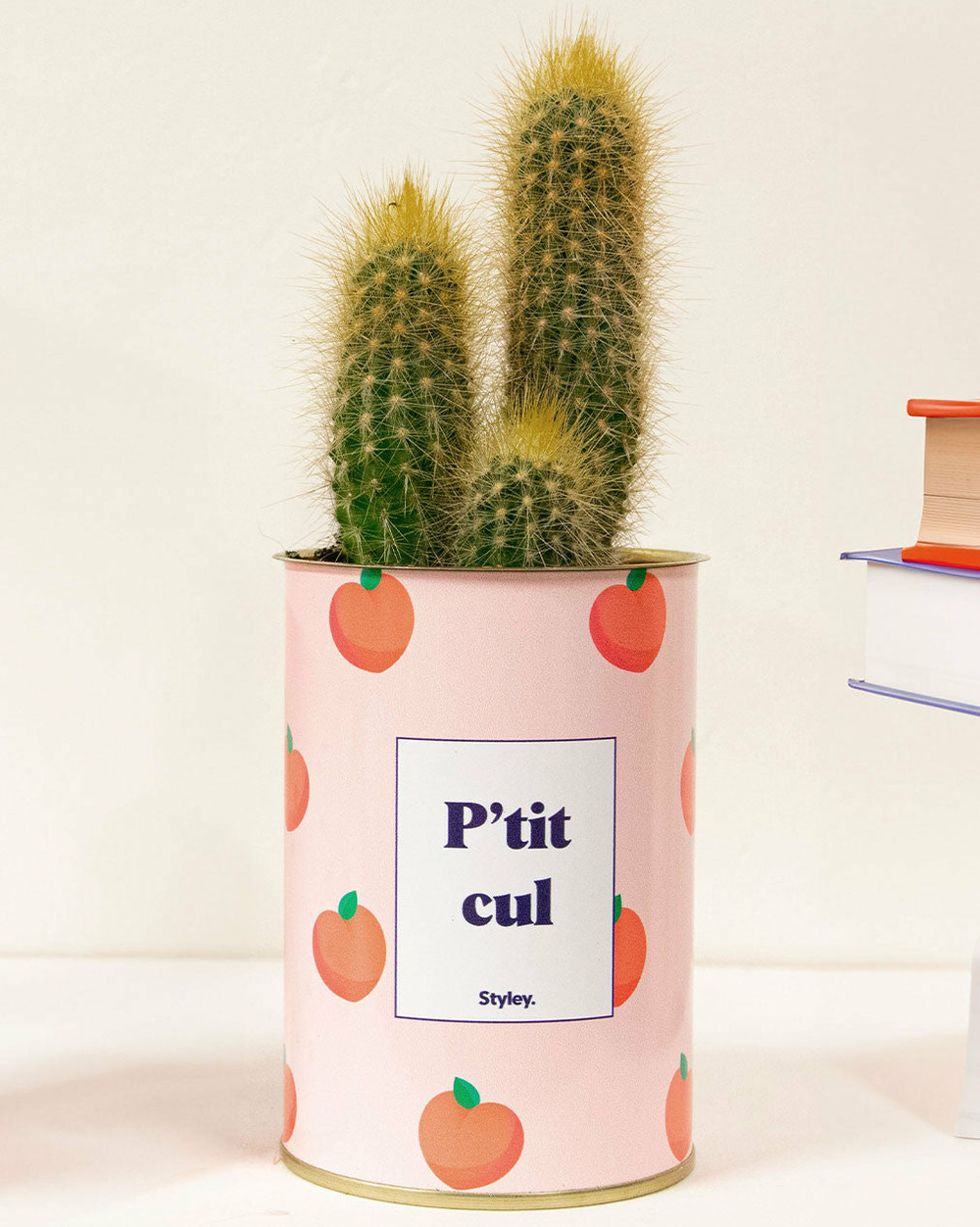 Plante personnalisée - p'tit cul - cactus