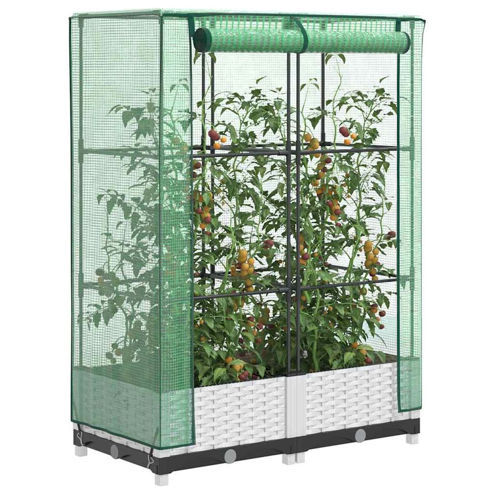 Jardinière de forçage rectangulaire basse avec serre amovible pour semis de printemps blanc 80 cm