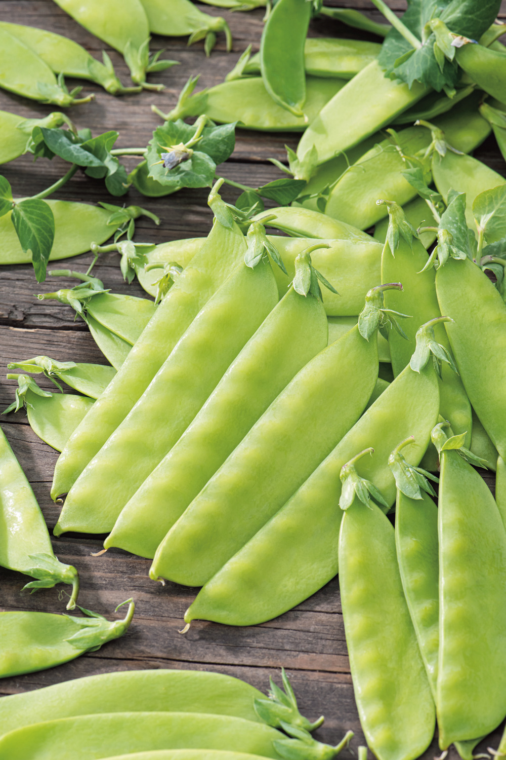 Pois carouby de maussane - 150 g