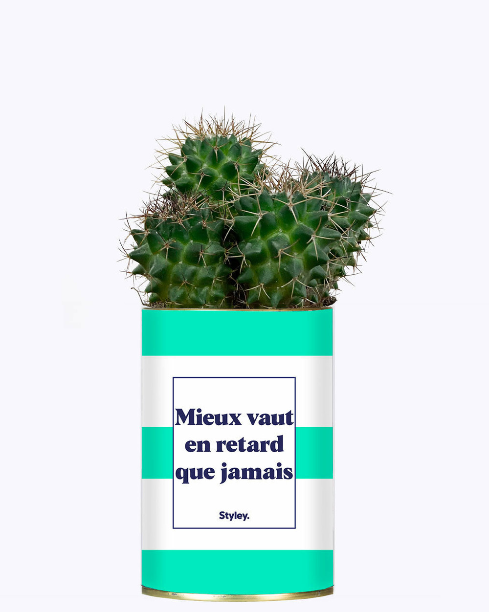 Idée cadeau - mieux vaut en retard que jamais - cactus