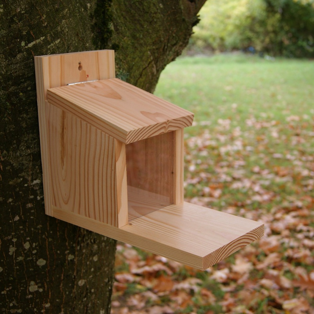 Mangeoire écureuil en douglas