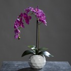Orchidee artificielle pourpre1 hampe en pot ceramique blanc h 46 cm - couleur: p