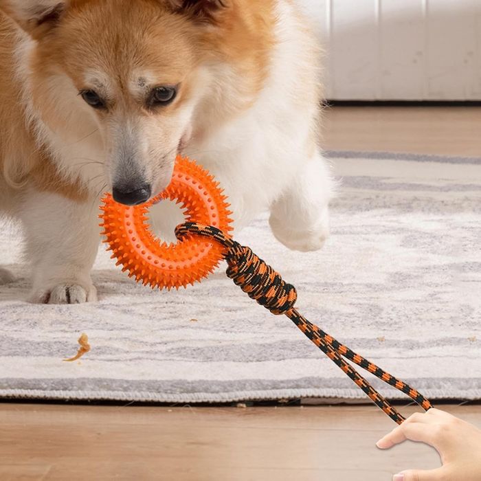 Jouet à Mâcher En Caoutchouc Pour Chien En Forme De Cacahuète - Avec Couineur - Pour Chiots Et Chiens Moyens/grands - Robustesse Garantie