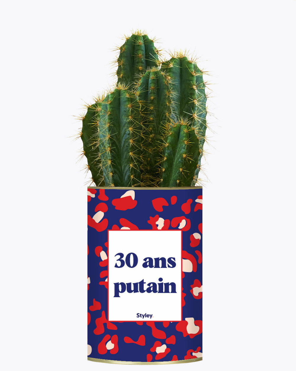 Plante à message - 30 ans putain - plante