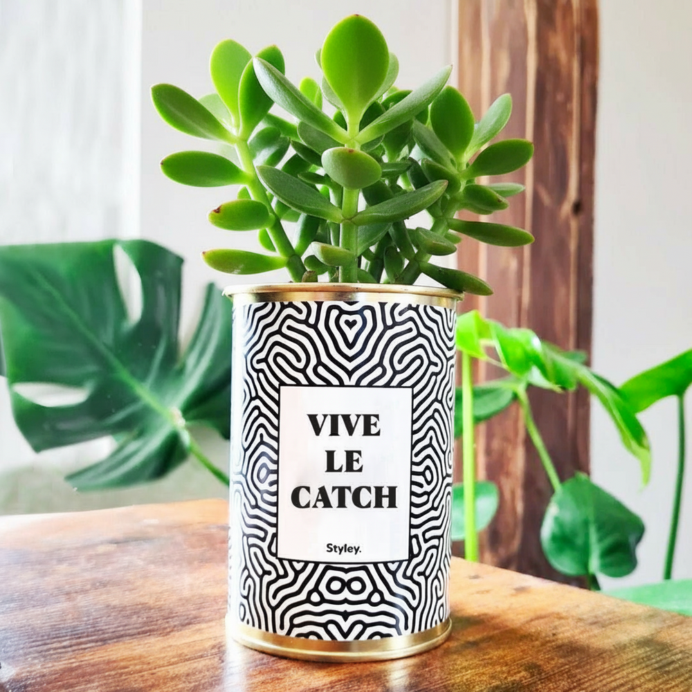 Plante personnalisée - vive le catch - cactus
