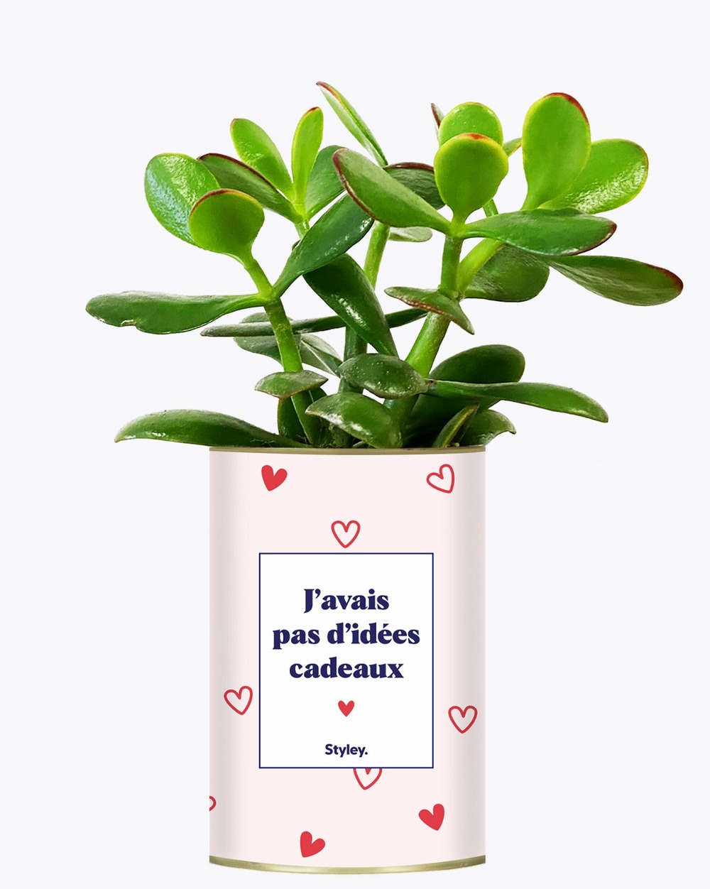 Plante personnalisée - cadeau de saint valentin - cactus