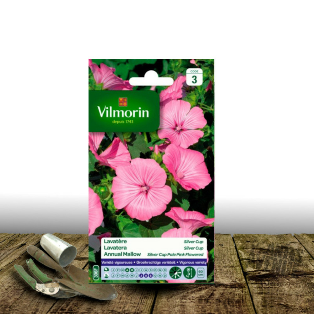Graines de lavatère silver cup - vilmorin sachet