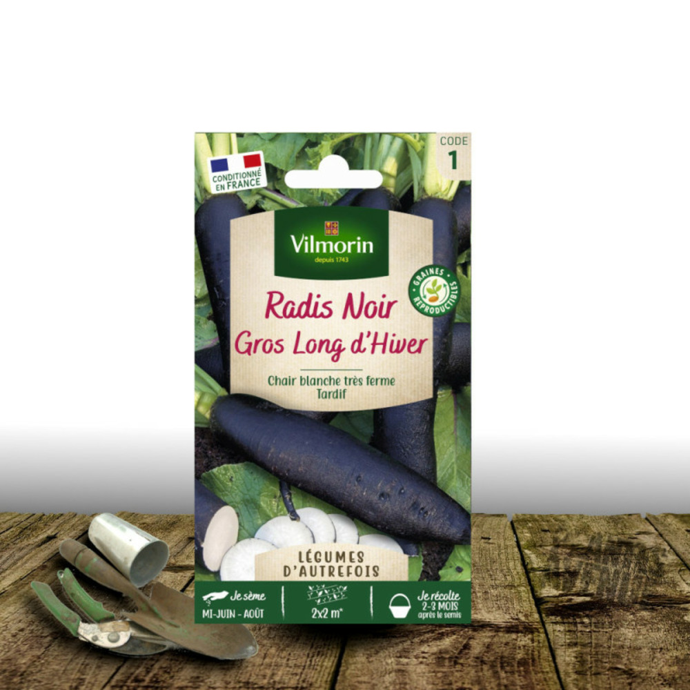 Graines de radis noir gros long d'hiver de paris - vilmorin sachet