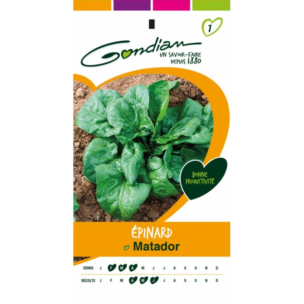 Epinard matador