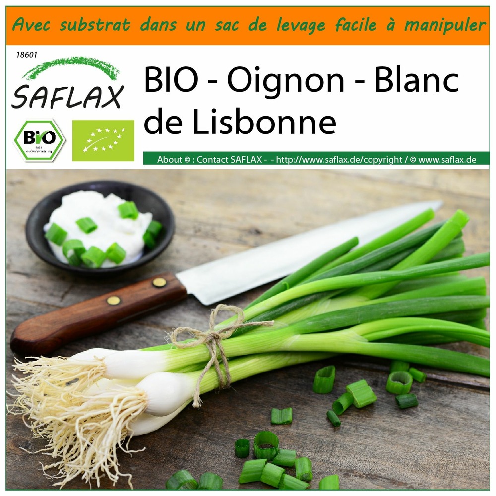 Garden in the bag - bio - oignon - blanc de lisbonne - 150 graines - allium cepa