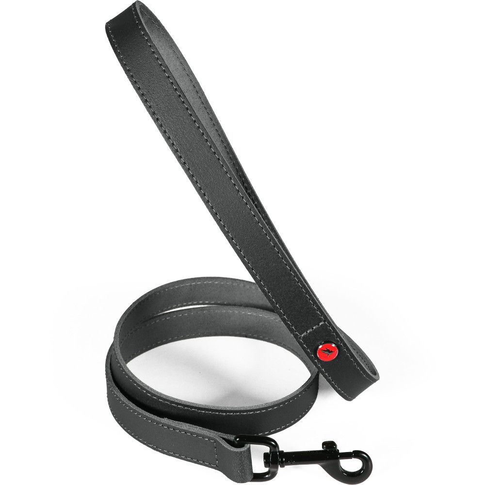 Laisse pour chien en cuir européen, longueur 1 m, sangle 20 mm - zolux (noi
