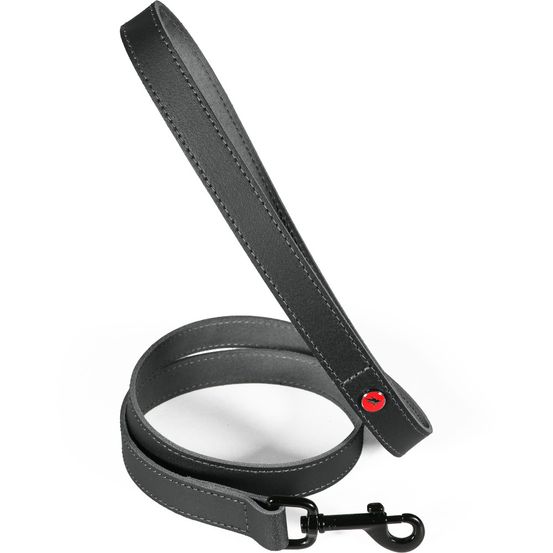 Laisse pour chien en cuir européen, longueur 1 m, sangle 20 mm - zolux (noi