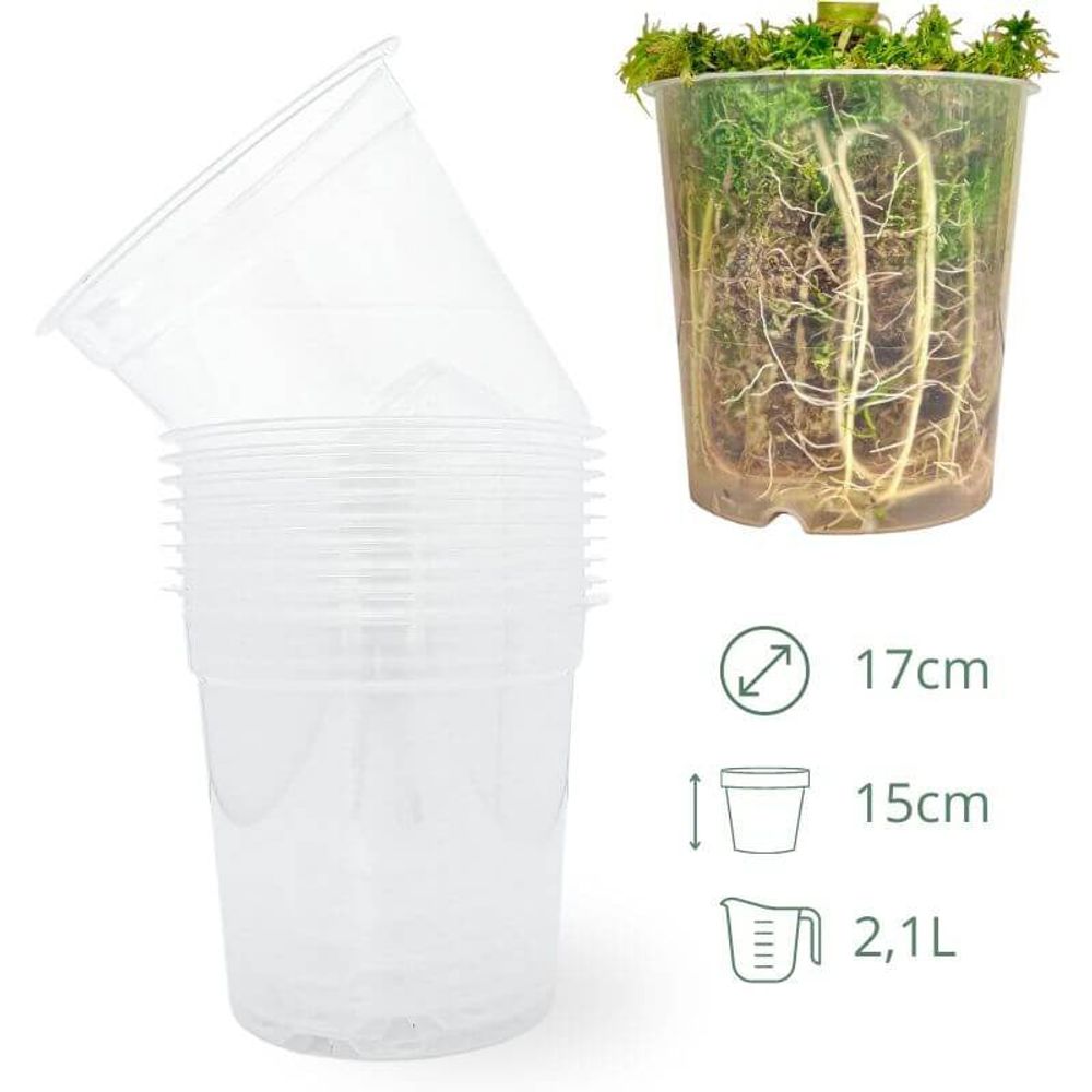 Lot x10 pots transparents - pot de 17cm - pots seuls