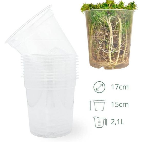 Lot x10 pots transparents - pot de 17cm - pots seuls