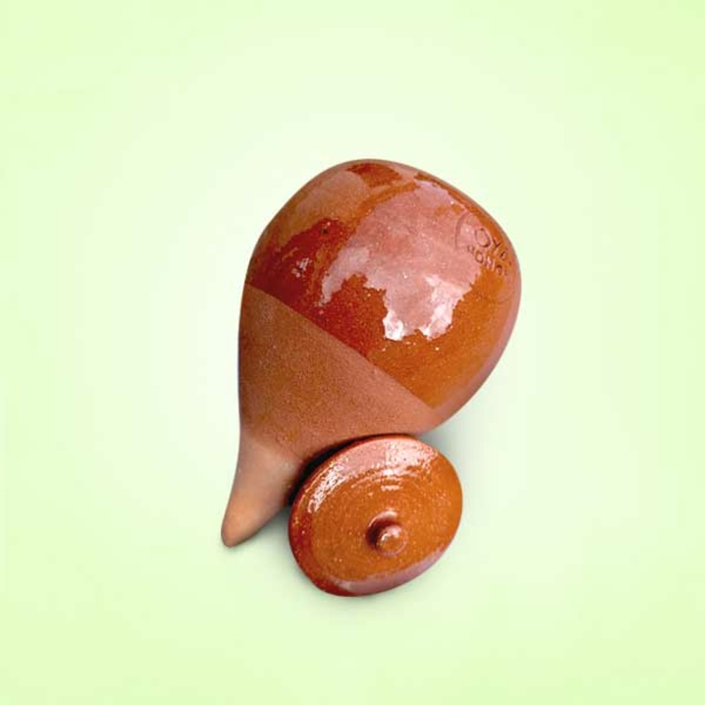 Oya à planter verni - 0,5l