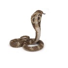 Figurine du serpent cobra royal