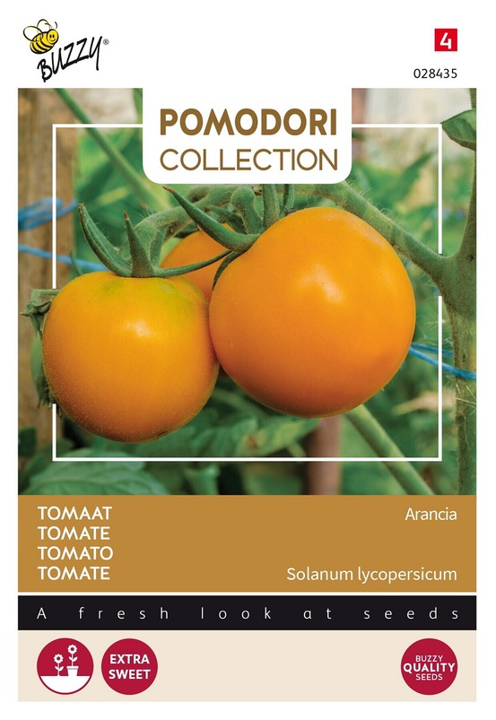 Buzzy pomodori, tomate arancia - ca. 1,5 gr (livraison gratuite)