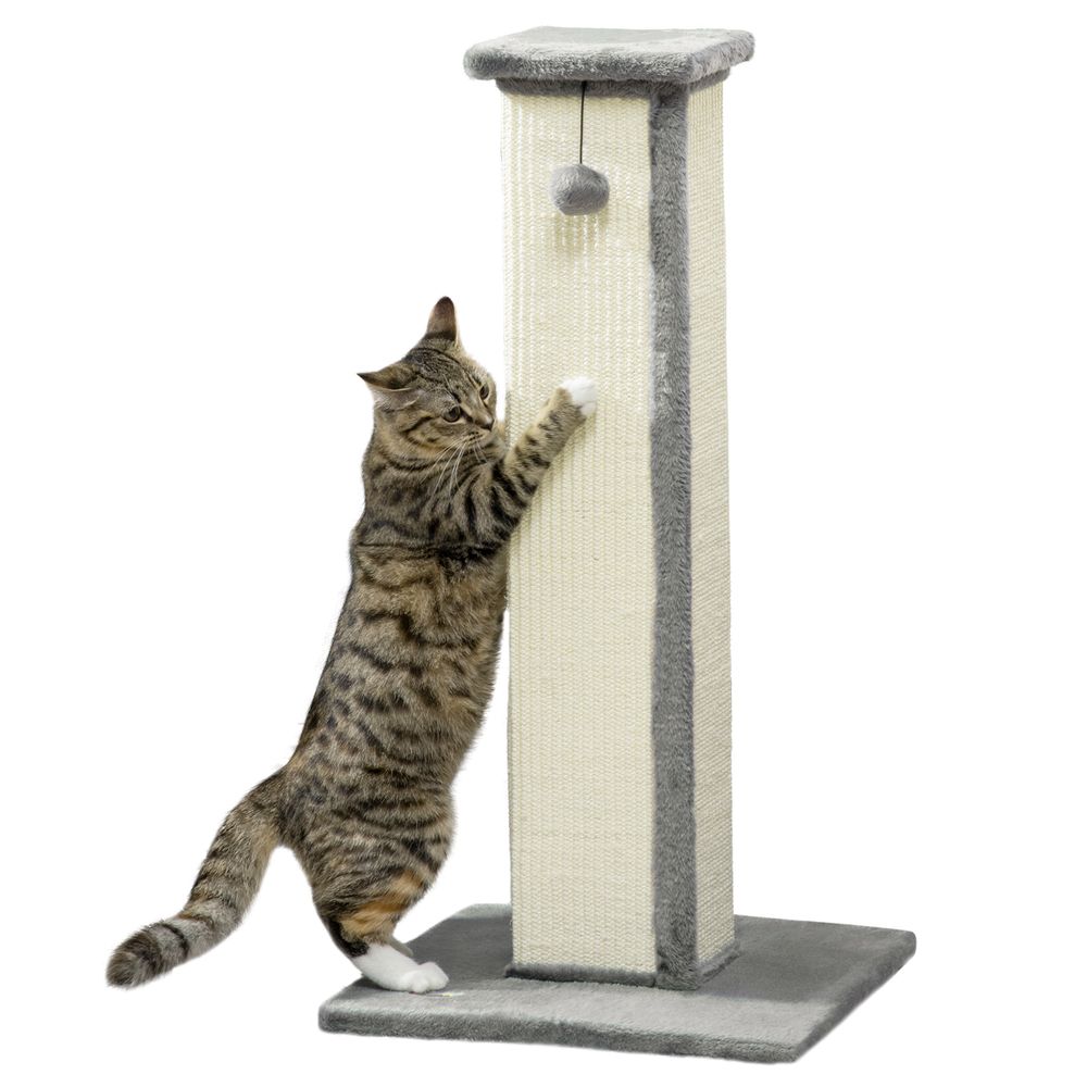 Poteau griffoir pour chat haut 81 cm avec poteau en sisal et balle suspendue gris