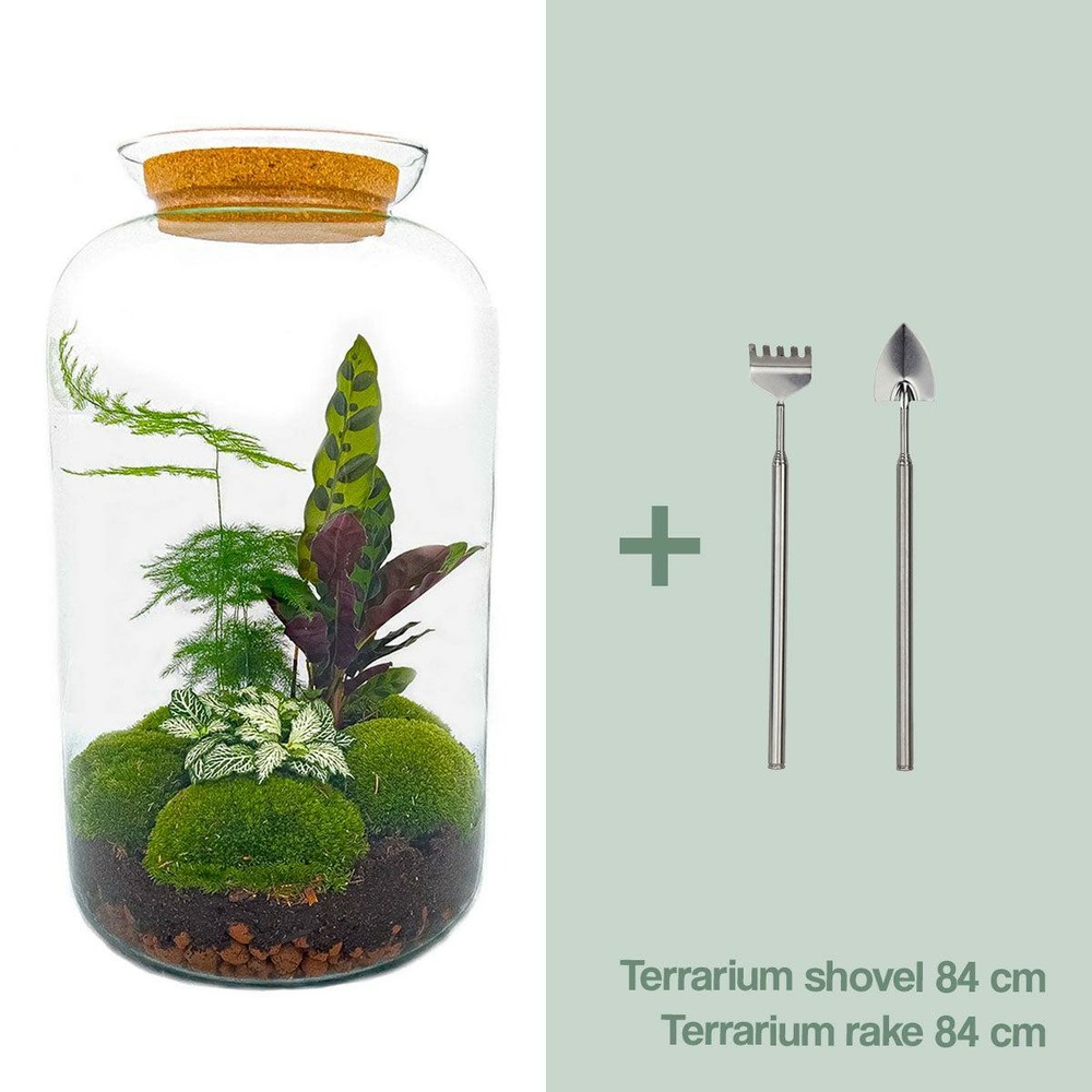Kit terrarium diy - salen - rateau + pelle
