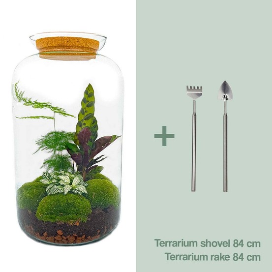 Kit terrarium diy - salen - rateau + pelle