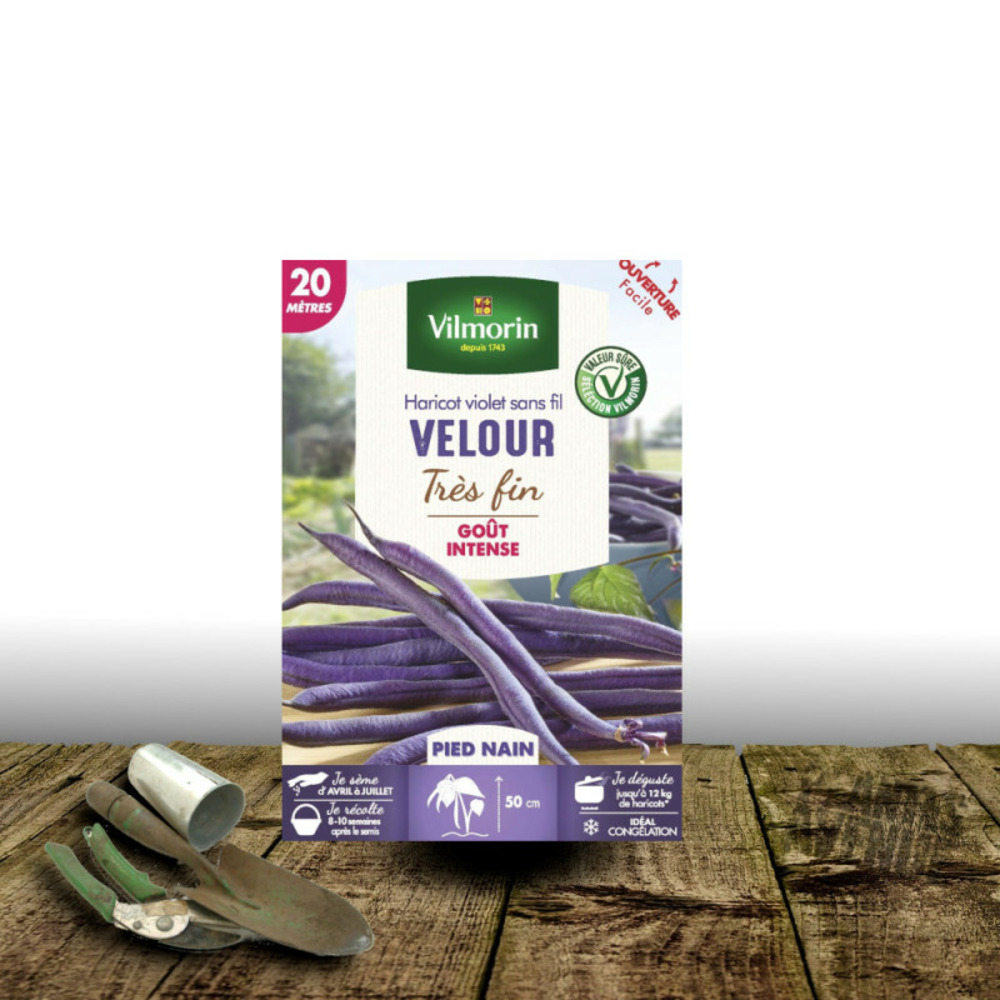 Graines de haricot nain mangetout velour - vilmorin boite - 20 mètres