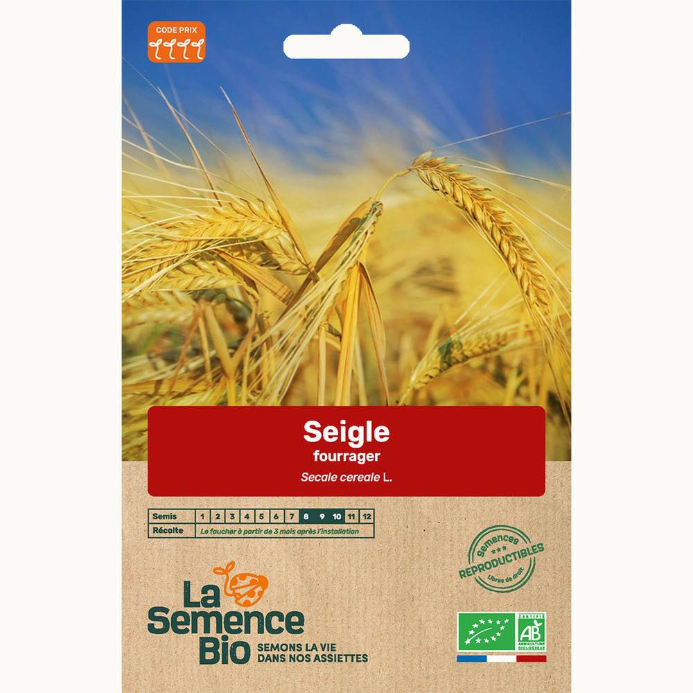 Seigle fourrager - graines bio