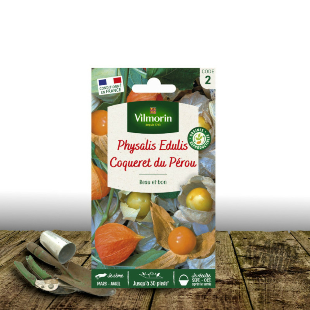 Graines de physalis coqueret du pérou - vilmorin sachet