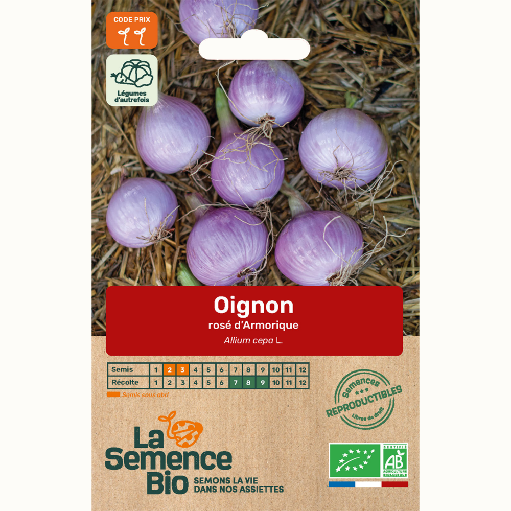 Oignon rosé d armorique - graines bio