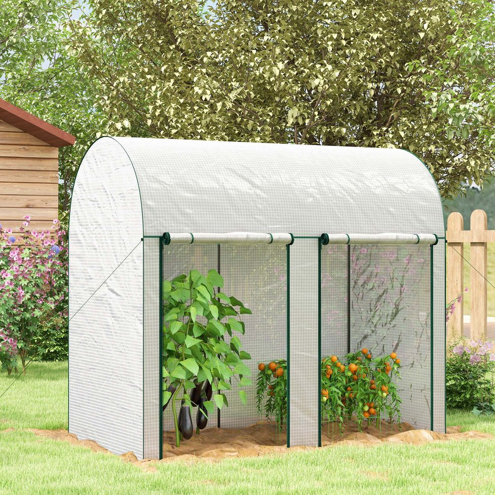 Serre de jardin tunnel en pe blanc 200 x 100 x 178 cm pour potager et tomates - comfortxl outdoor living