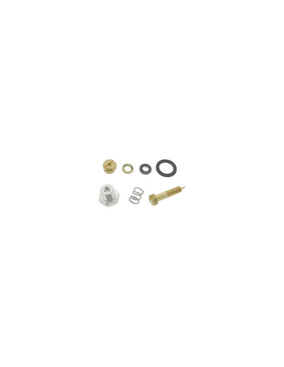 Kit vis de richesse adaptable pour briggs & stratton modèles 3 à 5 ch. Horizontaux & verticaux (pulsa-jet).remplace origine: 299
