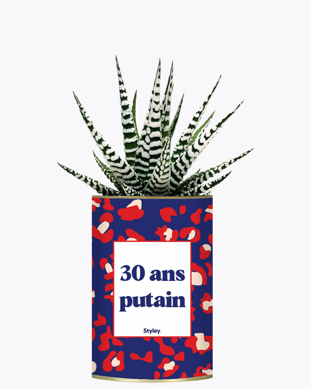 Plante à message - 30 ans putain - plante