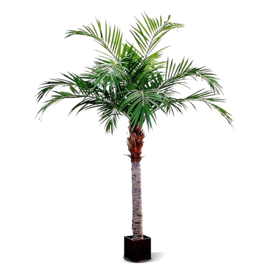 Grande palmier artificielle majesty géant de 350cm