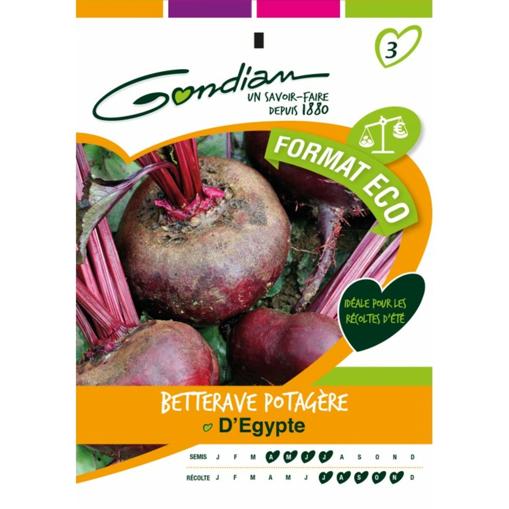 Betterave potagère d'égypte format eco