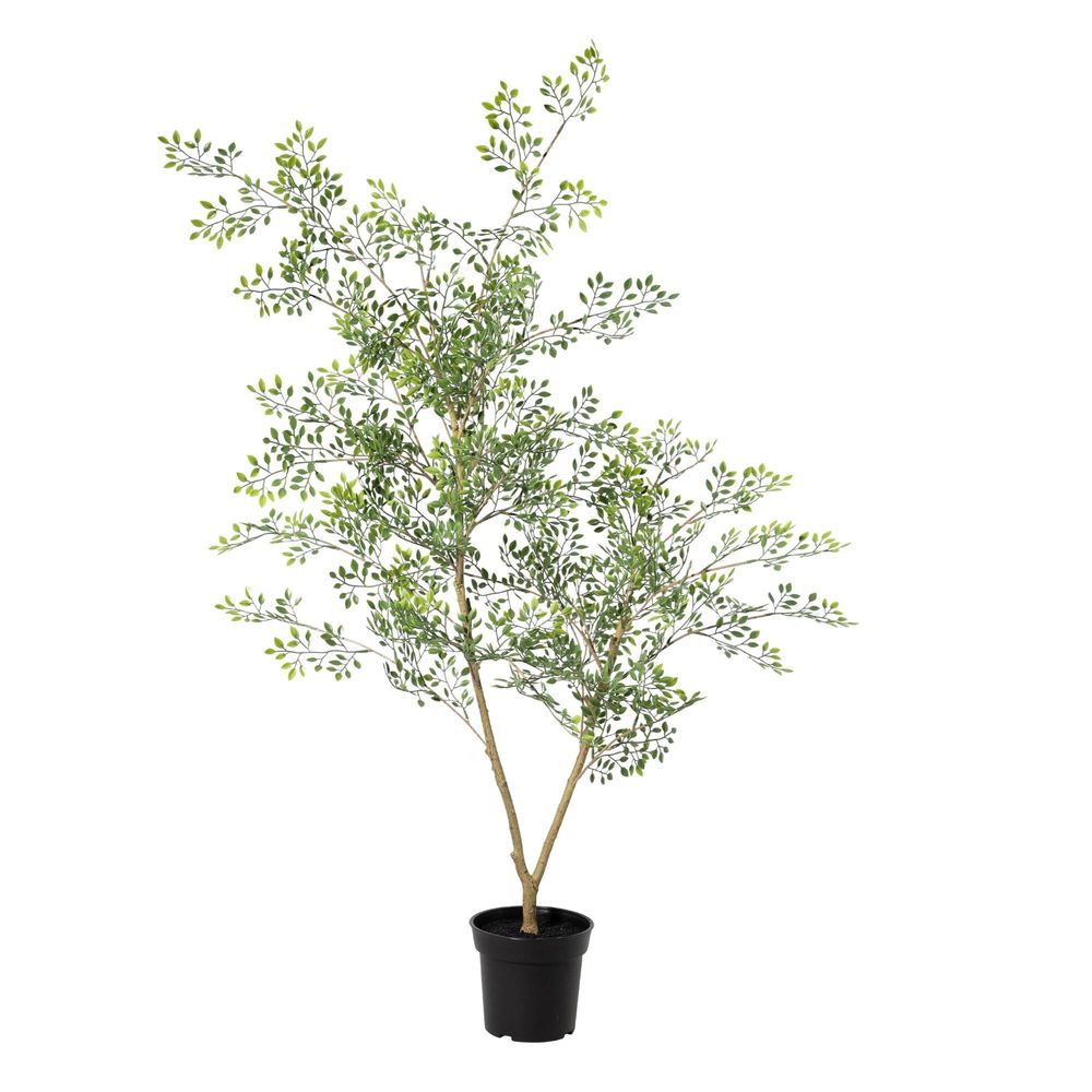 Bucida - 71cm - ø17cm - plante artificielle