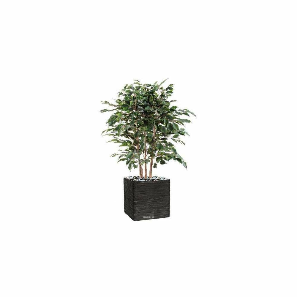 Ficus Exotica buisson Artificiel tronc