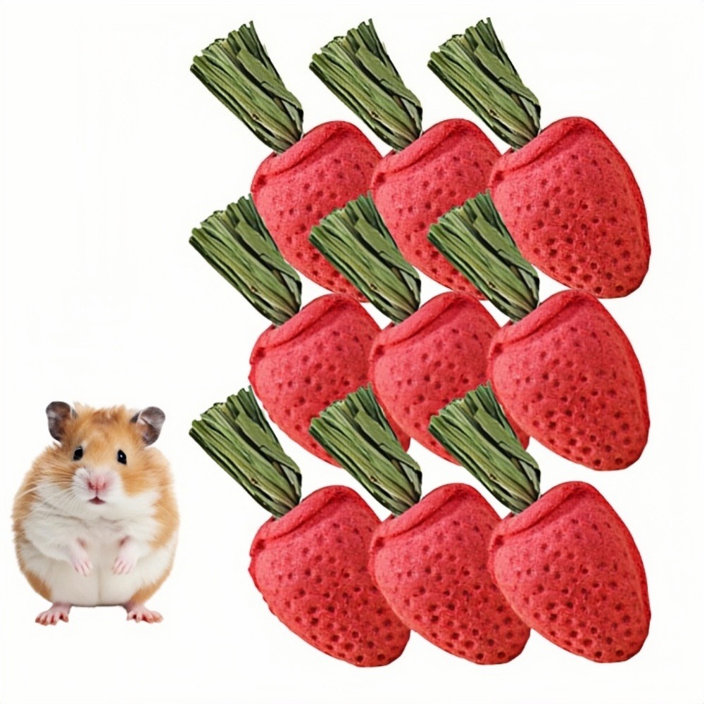 Jouets à mâcher - lot de 9 en forme de fraise