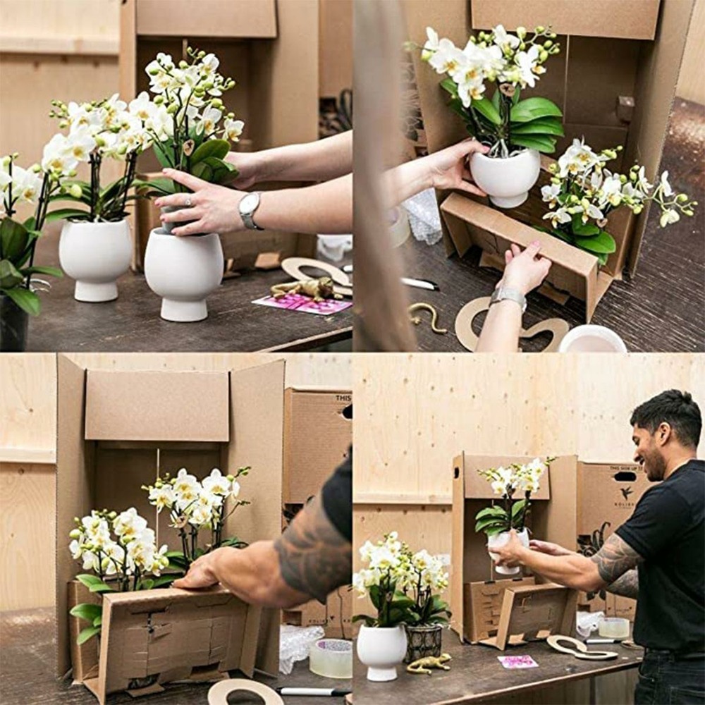 Incrustation avec réservoir pour orchidées et mèches d'eau