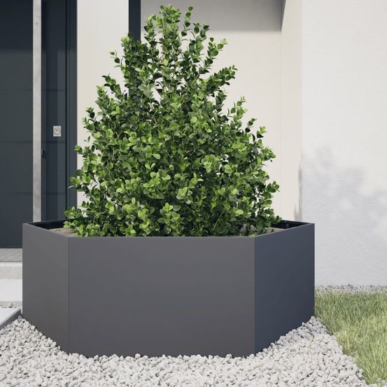 Grande jardinière surélevée hexagonale en acier jardin anthracite 138x120cm