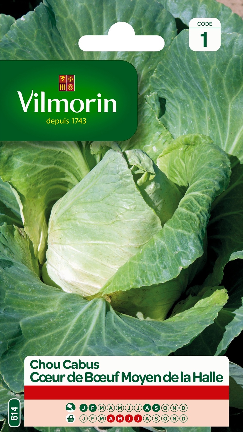 Chou cabus, chou pommé 'cœur de bœuf' le sachet de 800 graines environ (2g)