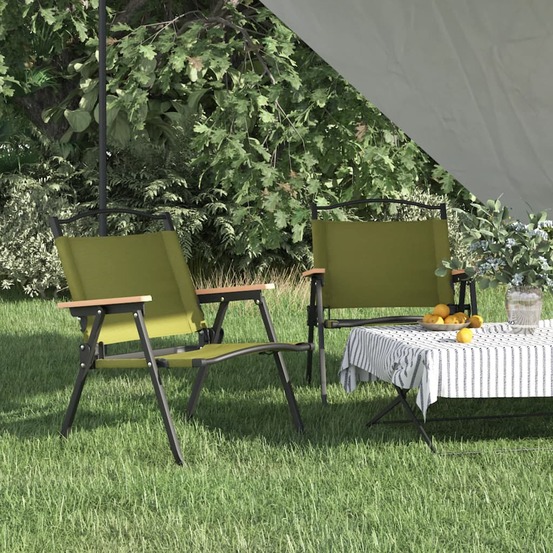 Chaises de camping lot de 2 vert 54x43x59 cm tissu oxford