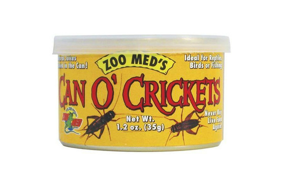 Can o' cricket - 35 g pour l'alimentation des reptiles