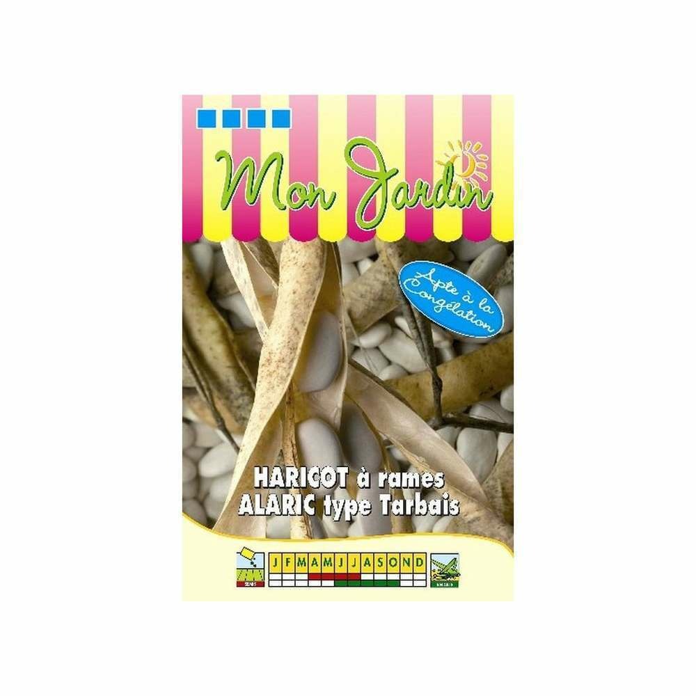 Graines d'haricot à rames alaric 100g - type tarbais
