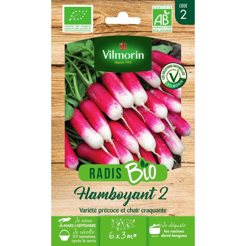 Sachet graines radis flamboyant 2 bio -raphanus sativus