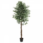 Ficus artificiel panaché 210cm