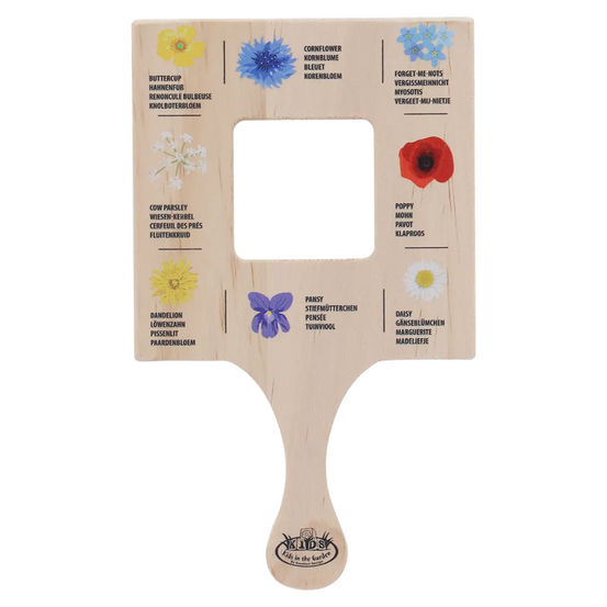 Cadre explorateur - fleurs sauvages