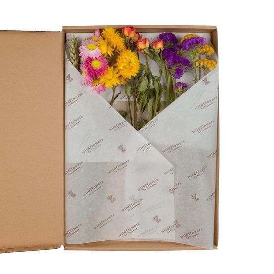 Lot de 5 - fleurs séchées - flowers in leterbox - multi - h30 cm
