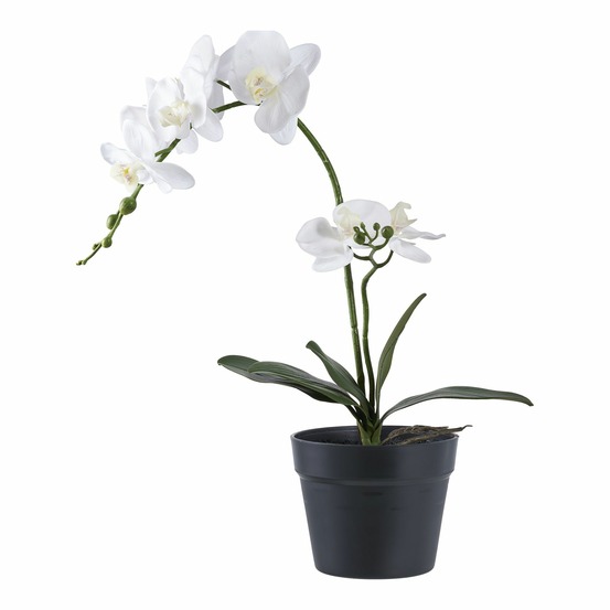 Plante artificielle orchidée verte et blanche 49 cm