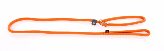 Martin sellier - laisse pour chiens en nylon martin sellier - laisse pour chiens avec collier d'éducation semi-étrangleur