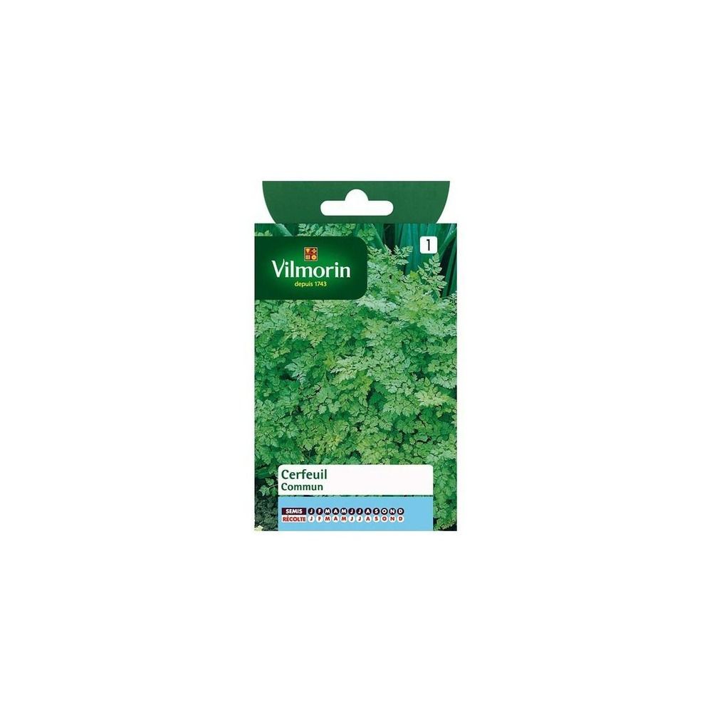 Sachet graines cerfeuil commun